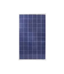 Panou fotovoltaic policristalin ReneSola 250W