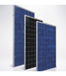 Panouri solare cu celule policristaline Suntech 245W