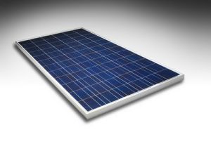 Panourile fotovoltaice electrice IPPU-255W