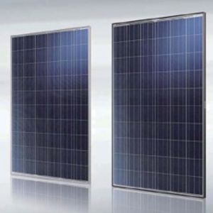 Panouri fotovoltaice cu celule policristaline Yngli 255W